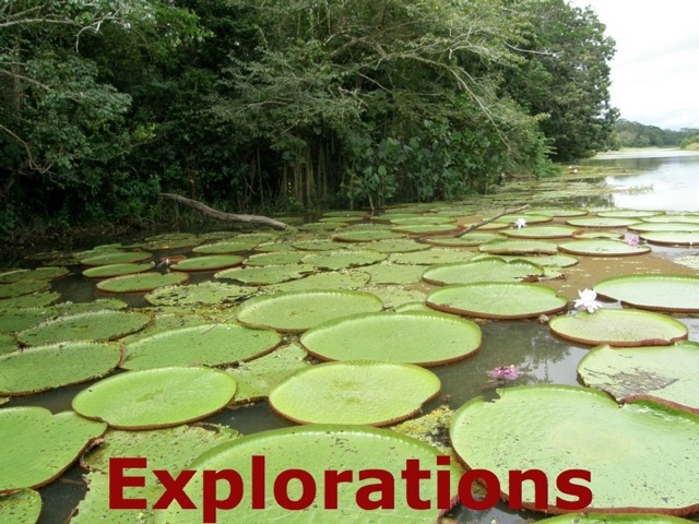 Amazon River rainforest tours and travel-55_WM